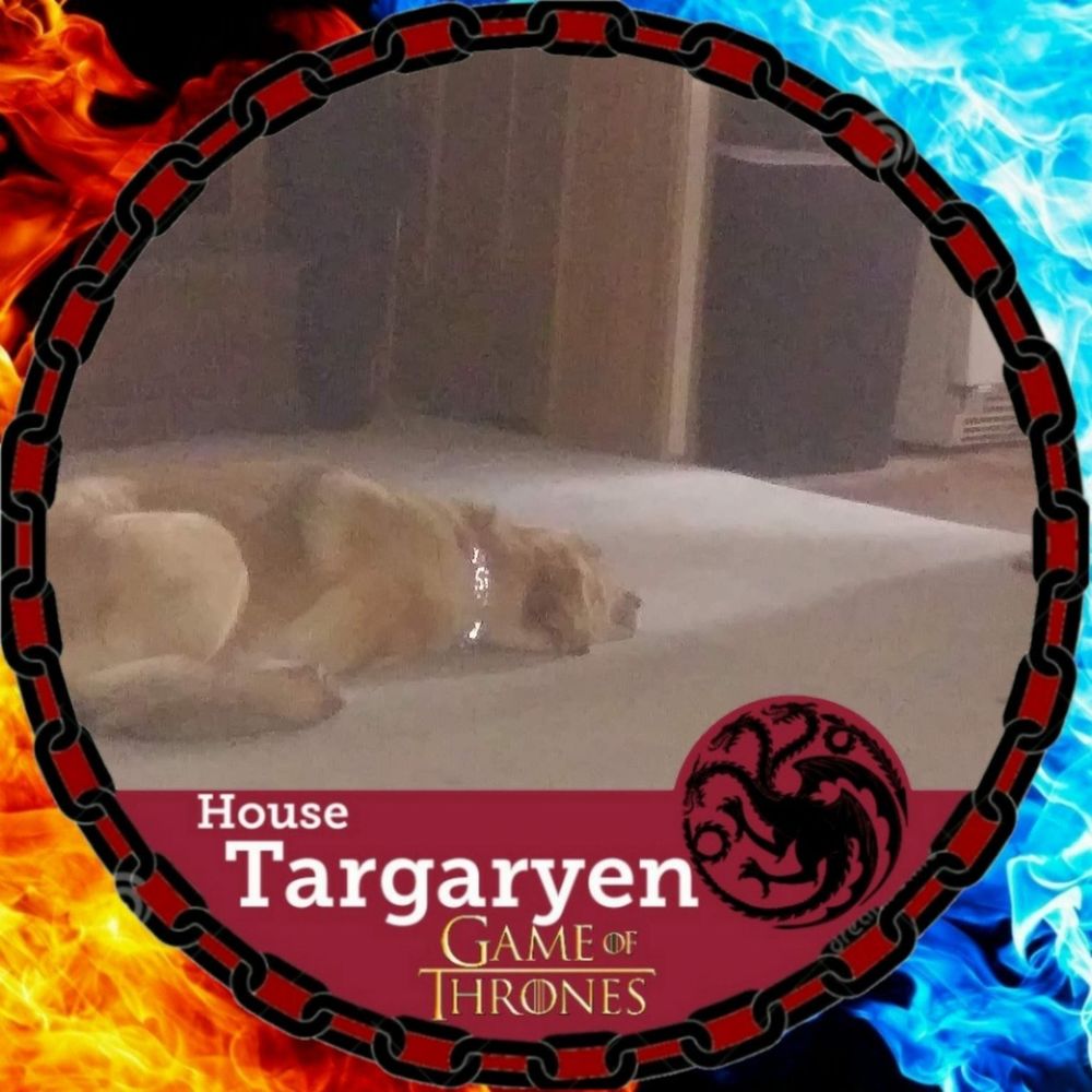 Meet your Posher, Krystina